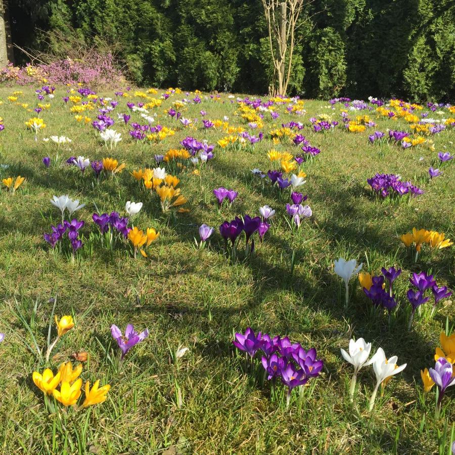 Ferienwohnungen Am Feldrain - Gornau Im Erzgebirge Zschopau ภายนอก รูปภาพ